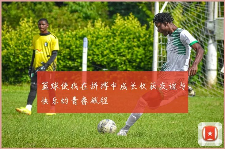 篮球使我在拼搏中成长收获友谊与快乐的青春旅程