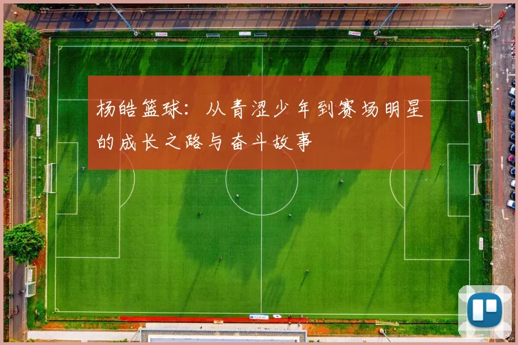 杨皓篮球：从青涩少年到赛场明星的成长之路与奋斗故事
