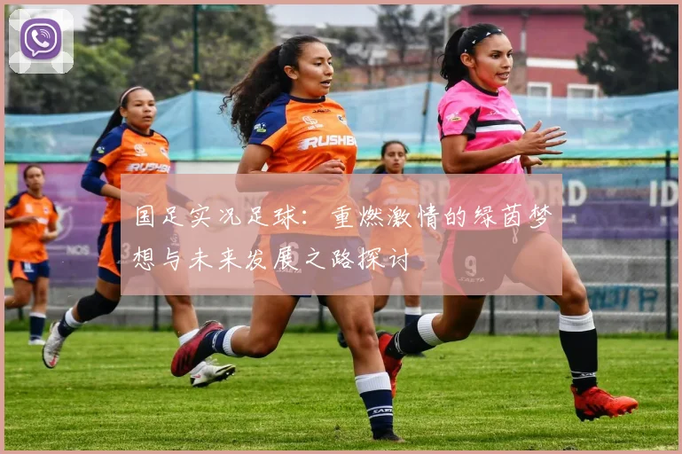 国足实况足球：重燃激情的绿茵梦想与未来发展之路探讨