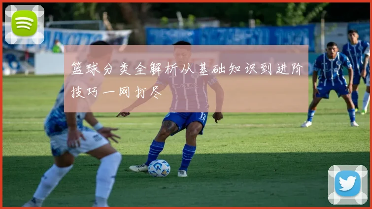 篮球分类全解析从基础知识到进阶技巧一网打尽